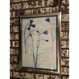 Blue and White Modern Classic Botanical Flower Framed Wall Art of Lily 1933